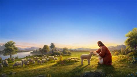 Parable Of The Lost Sheep For Kids