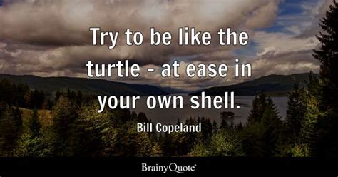 Bill Copeland - Try to be like the turtle - at ease in...