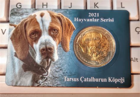 2021 Turkey Tarsus Çatalburun Dog's Special Mint Coin in - Etsy