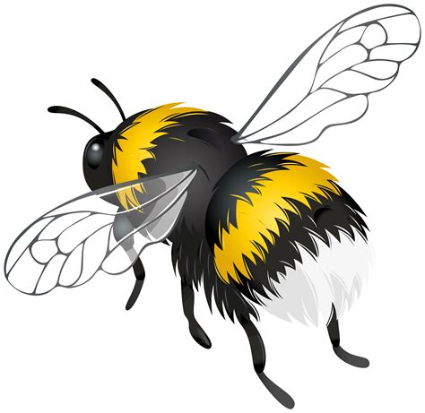 Honey Bees Insect Clipart Cartoon Bees Flying Png Download Full | Images and Photos finder