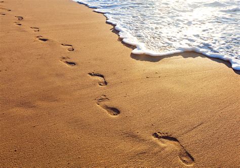 Footprints In The Sand HD Wallpapers - Wallpaper Cave