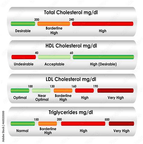 Cholesterol chart in mg/dl units of measure Stock-Illustration | Adobe Stock