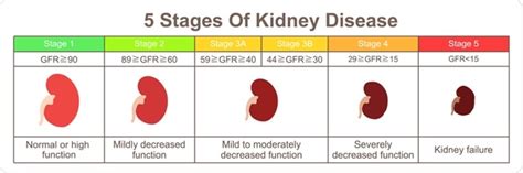 Chronic Kidney Disease (CKD)