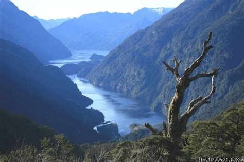 Fiordland National Park Facts & Information - Beautiful World Travel Guide