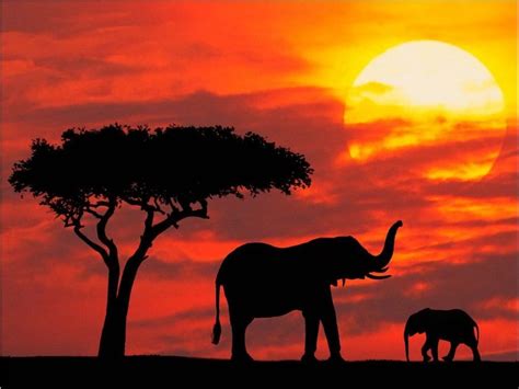 High Definition Wallpaper Club: African Sunset Wallpapers