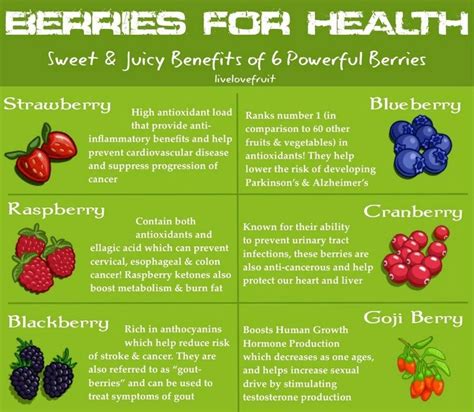 Berries for health | Benefits of berries, Berries, Health