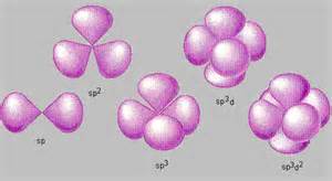 Hybrid Atomic Orbitals