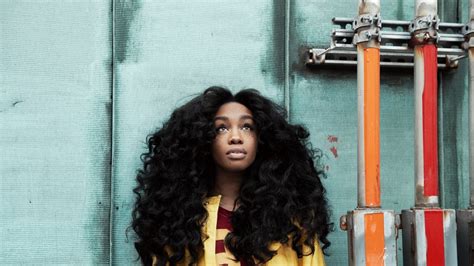 SZA hair Care Secrets Revealed - Human Hair Exim