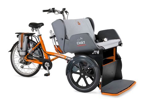 Van Raam Chat Rickshaw Bike | Tomcat UK