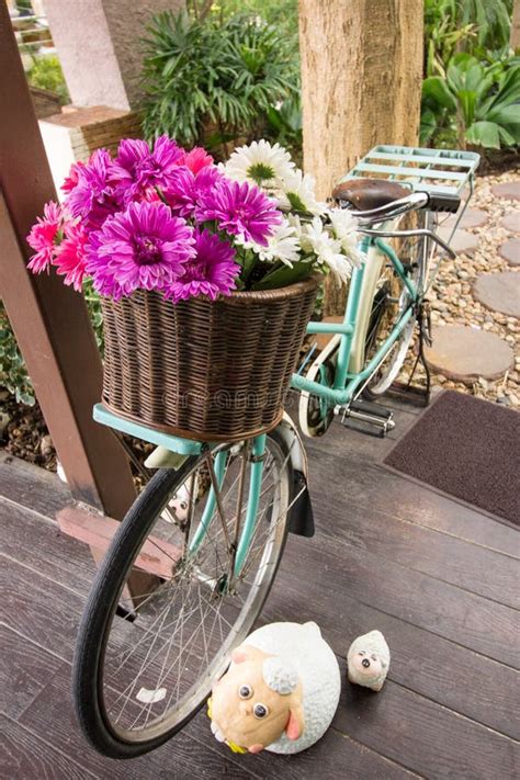 Colorful Flowers Basket Bike Stock Image - Image of white, travel: 49771871