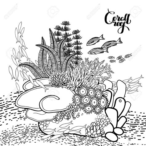 Ocean Plants Drawing at GetDrawings | Free download