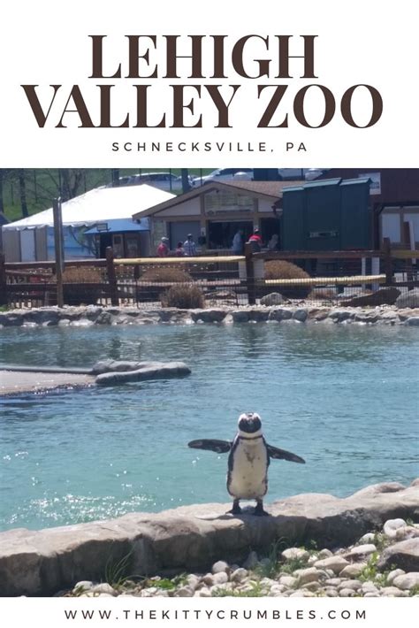 Lehigh Valley Zoo | Lehigh valley, Vacation trips, Zoo