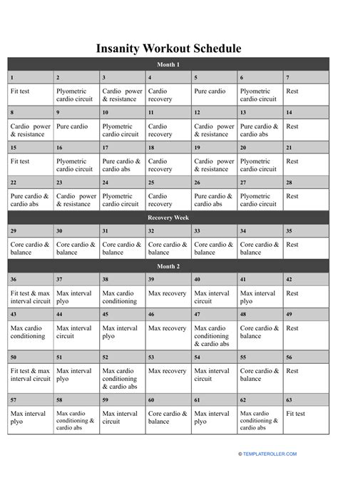 Insanity Workout Schedule Download Printable PDF | Templateroller