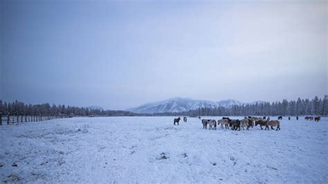 27 Photos Of Life Inside Oymyakon, The Coldest City On Earth