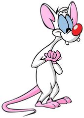 Pinky and the Brain - Wikipedia