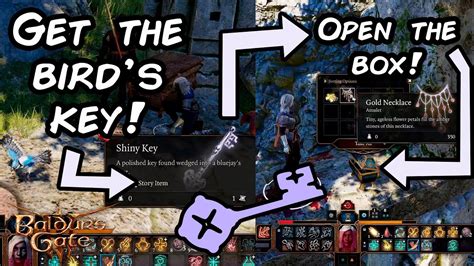 Baldur's Gate 3: How to get Shiny Key from bird's nest and then get the ...