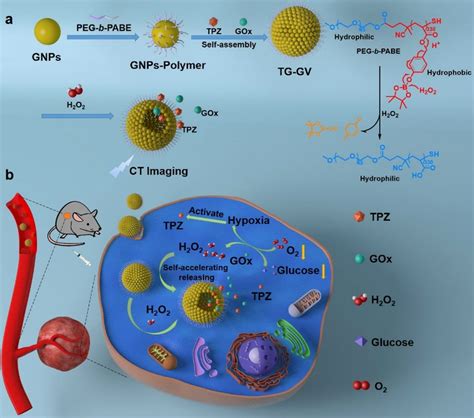 Self-accelerating H2O2-responsive plasmonic nanovesicles for ...