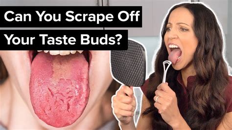 do TASTE BUDS grow back? - YouTube