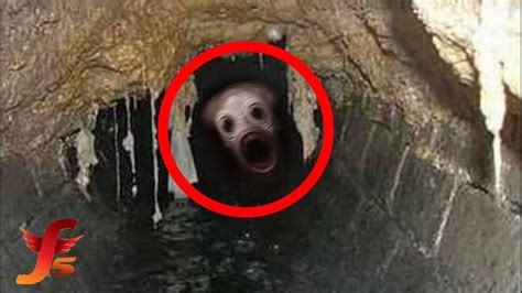 Top 5 Scary Creatures Caught On Camera In a Tunnel, Cave Or Sewer ...