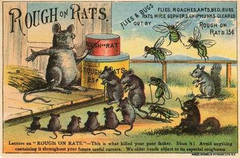 A War on Rats! Bubonic Plague: A Centenary Study - The Bryan Museum