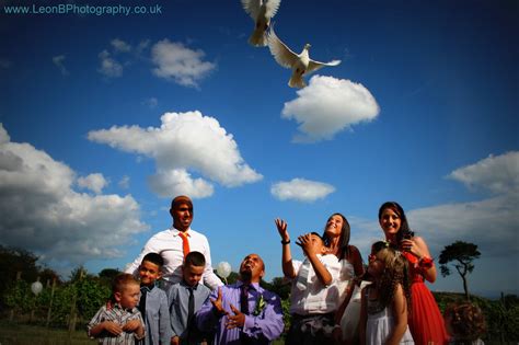 Wedding Doves Wisconsin - and the World - Dove CelebrationDove Celebration