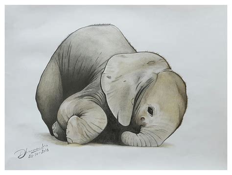Realistic Elephant Drawing at GetDrawings | Free download