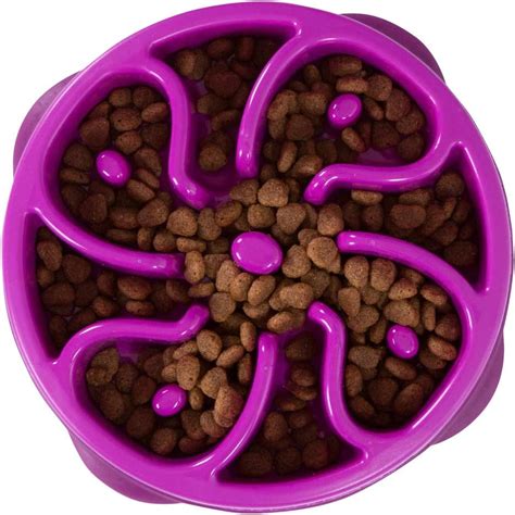 5 Best Food Bowls for Husky In 2024 - SPIRE PET