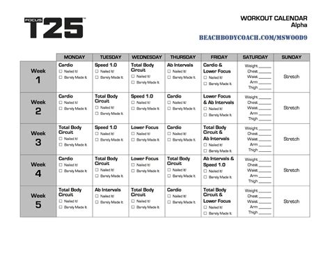 Focus t25 workout calendar - stufflasopa