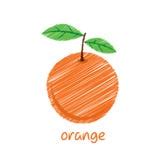 Sketch Of An Orange Fruit Stock Vector - Image: 54838256