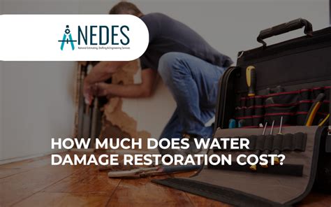 How Much Does Water Damage Restoration Cost?