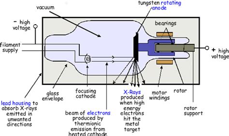 dental x ray machine parts - Cherelle Schulze