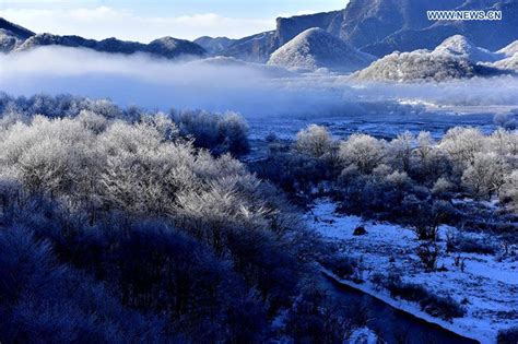 Images of the Most Spectacular Forest of China: Shennongjia