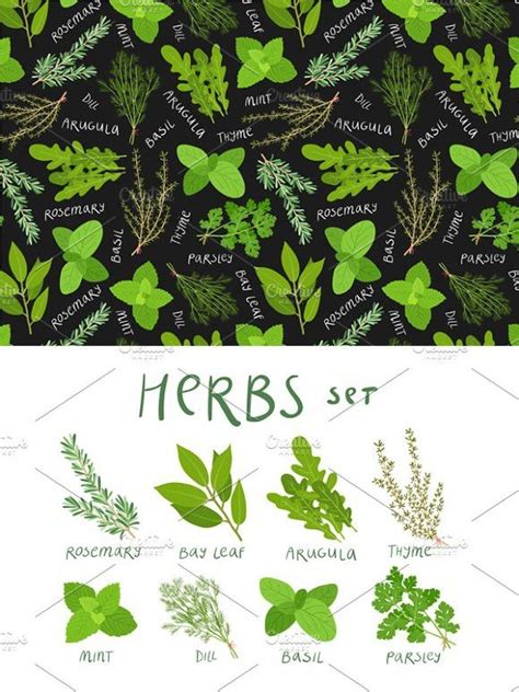 Herbs Set | Herbs, Vector pattern, Settings