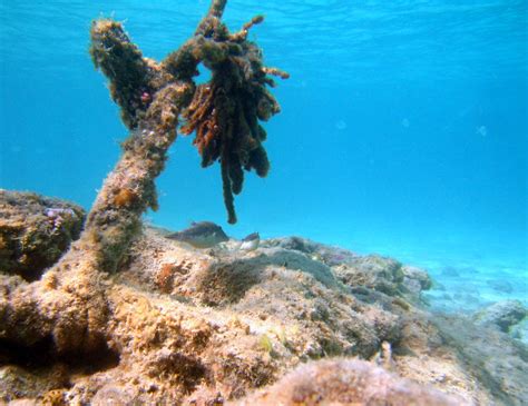 Diving in Hurghada – Trespasser-on-Earth