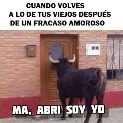 Cuando volves a lo de tus viejos después de un fracaso amoroso. Ma, abri soy yo. - Memes