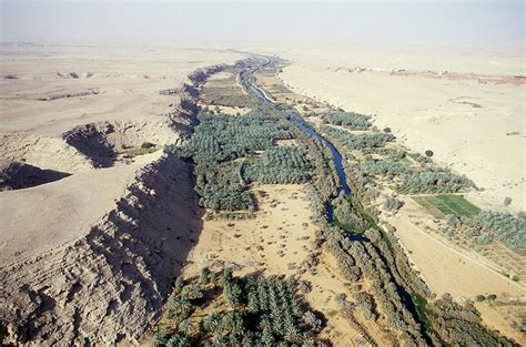 Saudi Arabian Oasis Photograph by Ray Ellis