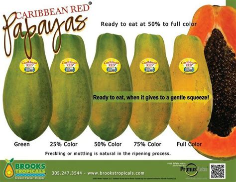 Ripe Papaya color chart. | Ripe papaya, Papaya, Papaya health benefits