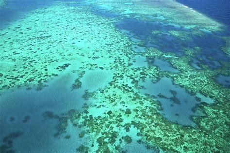 Aerial View Of The Great Barrier Reef Photograph by Miva Stock - Pixels