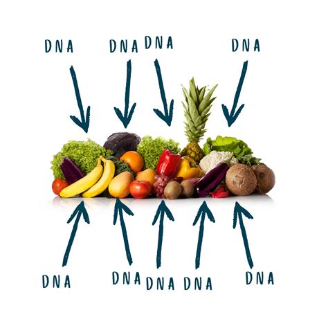 DNA Extraction Toolbox Lab Kit • MiniOne Systems