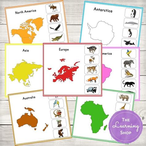 See original image | Continents activities, Animal activities ...