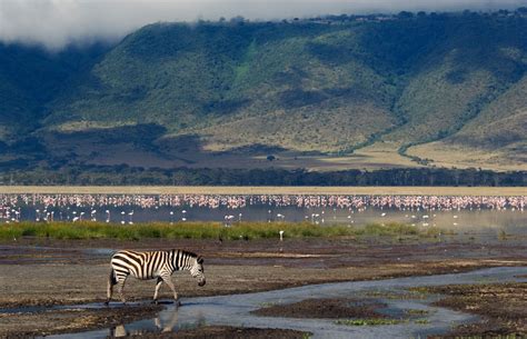 Ngorongoro Crater Conservation Area —Evans Adventure Safaris