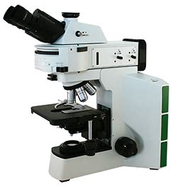 Microscope World Blog: Rabies Diagnosis Testing Microscopes