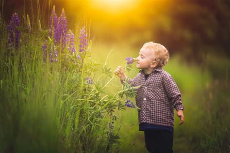 406 Little Boy Picking Flowers Stock Photos - Free & Royalty-Free Stock ...