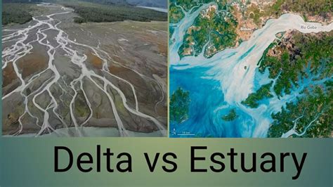 Delta and Estuary Formation | Suandarban delta and Narmada estuary ...