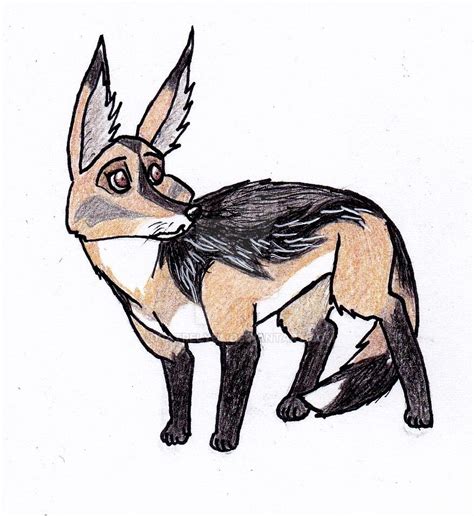 Black-Backed Jackal by DRatRelyea on DeviantArt