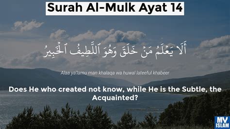 Surah Mulk Quran Verses Quran Surah Quran Quotes Ceipnievestoledo Org | sexiezpix Web Porn