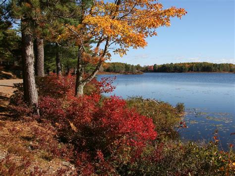 Free Photos: Fall Carriage Road Colors Acadia National Park | publicdomain