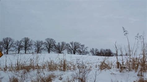 Wisconsin winter, Madison, WI | Wisconsin winter, Nature, Outdoor