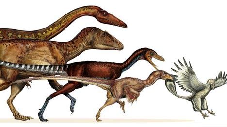 New Study Helps to Explain How Dinosaurs Got their Wings