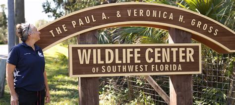 FPL powers wildlife rehabilitation efforts: Hundreds of animals return home six months after ...